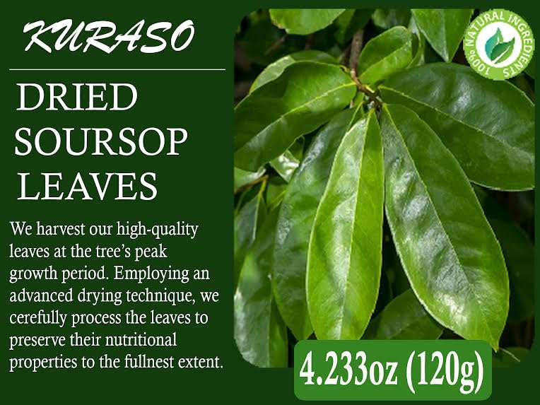 Premium Soursop Graviola Guanabana Dried Leaves for Tea, 120 gr 350-400 Soursop Leaves for Digestion, Boosting Immunity, Improving Sleep &amp; Skin Health